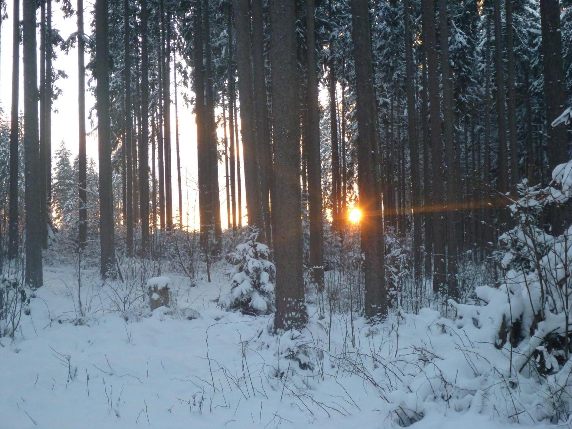 Gaestehaus Hundelbach Lenzkirch Bagian luar foto