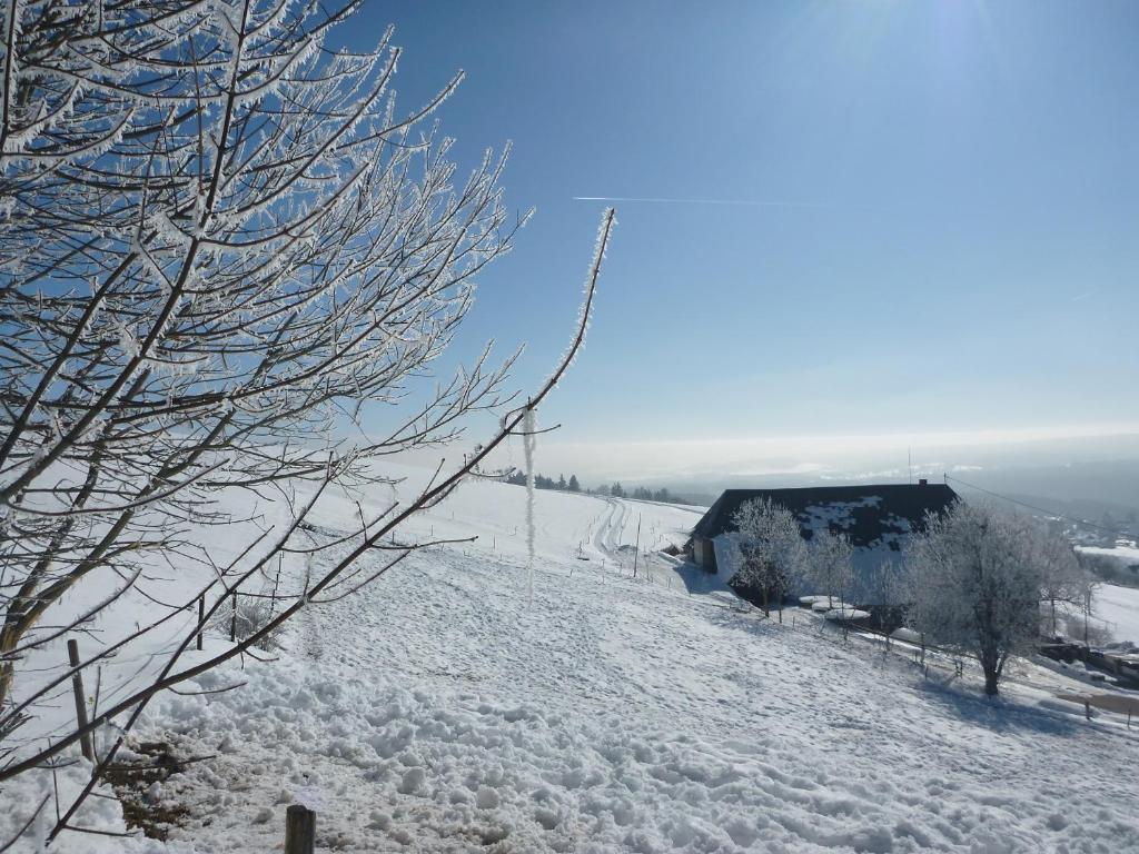 Gaestehaus Hundelbach Lenzkirch Bagian luar foto